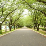 道のり-借金生活脱出日記
